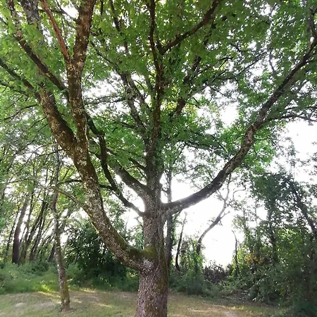 à L'orée Du Bois Сasa de vacaciones